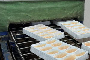 Baking & Fixing Adhesive