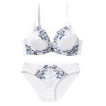 Embroidery Plus Size Bra Set