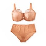 Lace Mesh Plus Size Bra