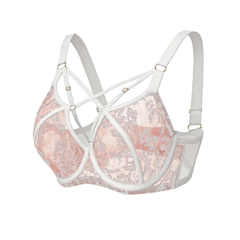 Lace Mesh Plus Size Bra
