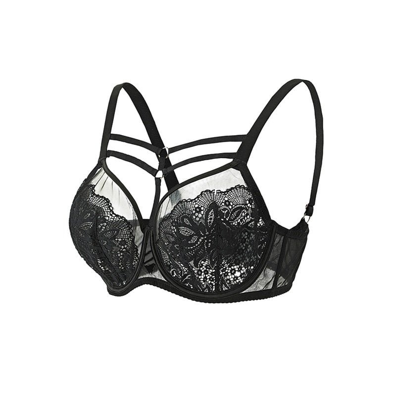 Lace Mesh Plus Size Bra