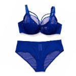 Lace Plus Size Bra Set